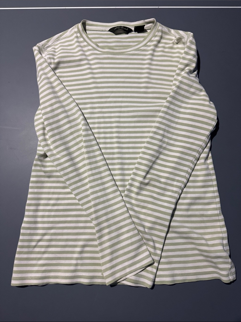 Eddie Bauer Striped Crewneck Tee in Sage Green and White